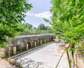 Attività Commerciale a Morrovalle