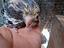 Immagine 1