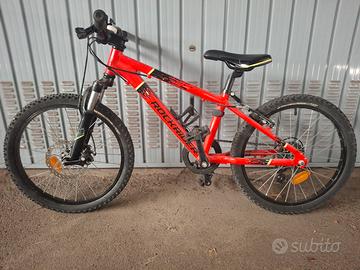 bicicletta montain bike bambino