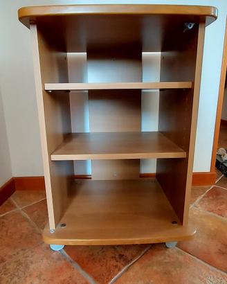 Mobile Tv/Stereo
