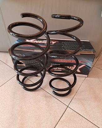 Molle ammortizzatori anteriori 