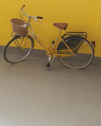 Bicicletta uomo e donna