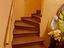Immagine 8