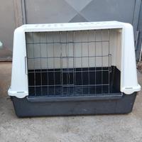 trasportino cane