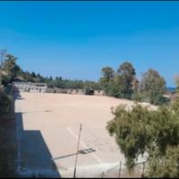 Arenella vergine Maria