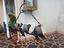 Immagine 3