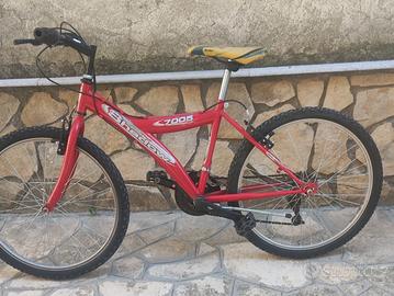 mountain bike bicicletta 