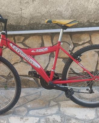 mountain bike bicicletta 