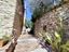 Immagine 23