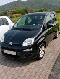 Fiat Panda 1.3 Multijet 95 CV – 2016 – Unico propr
