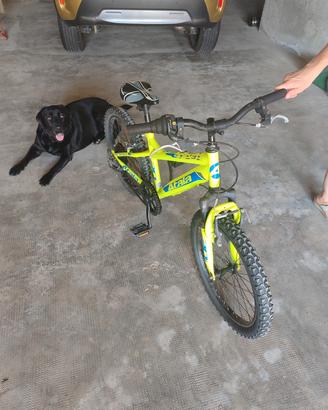 Bicicletta Atala bambino