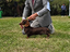 Immagine 1