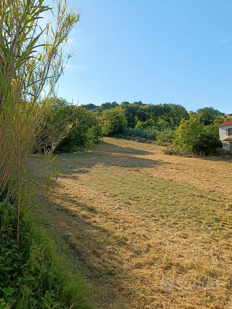 Terreno agricolo -- villamagna (ch), val di foro - Vista 5