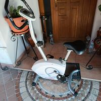 cyclette carnielli 