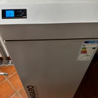 Caldaia a pellet Ungaro 24kw