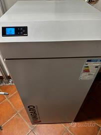 Caldaia a pellet Ungaro 24kw