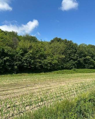 Terreno di 3845 m² a Sirone