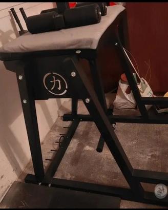 Reverse Hyper Riot Strength Shop