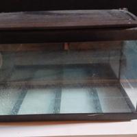 Acquario grande 
