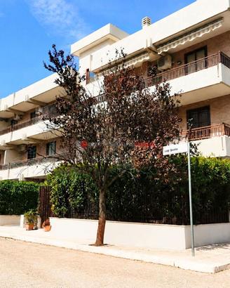Appartamento Foggia [Cod. rif 3342269VRG]
