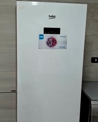 congelatore Beko 