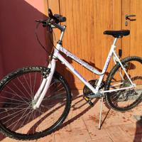 MOUNTAIN BIKE DA DONNA 