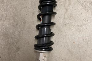 Mono ammortizzatore z900