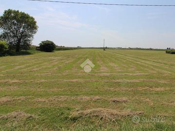 TER. AGRICOLO A CAORLE