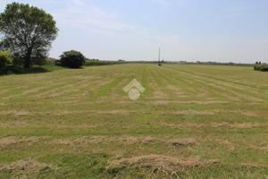 TER. AGRICOLO A CAORLE