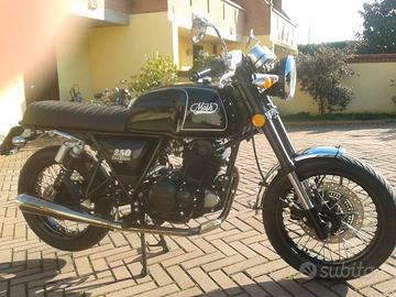 mash black seven 250