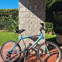 Bicicletta Bambino 20''