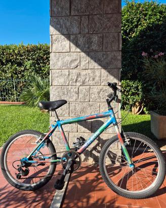 Bicicletta Bambino 20''