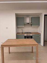 Monolocale appena ristrutturato