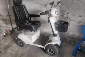 Altro Altro modello - 2023