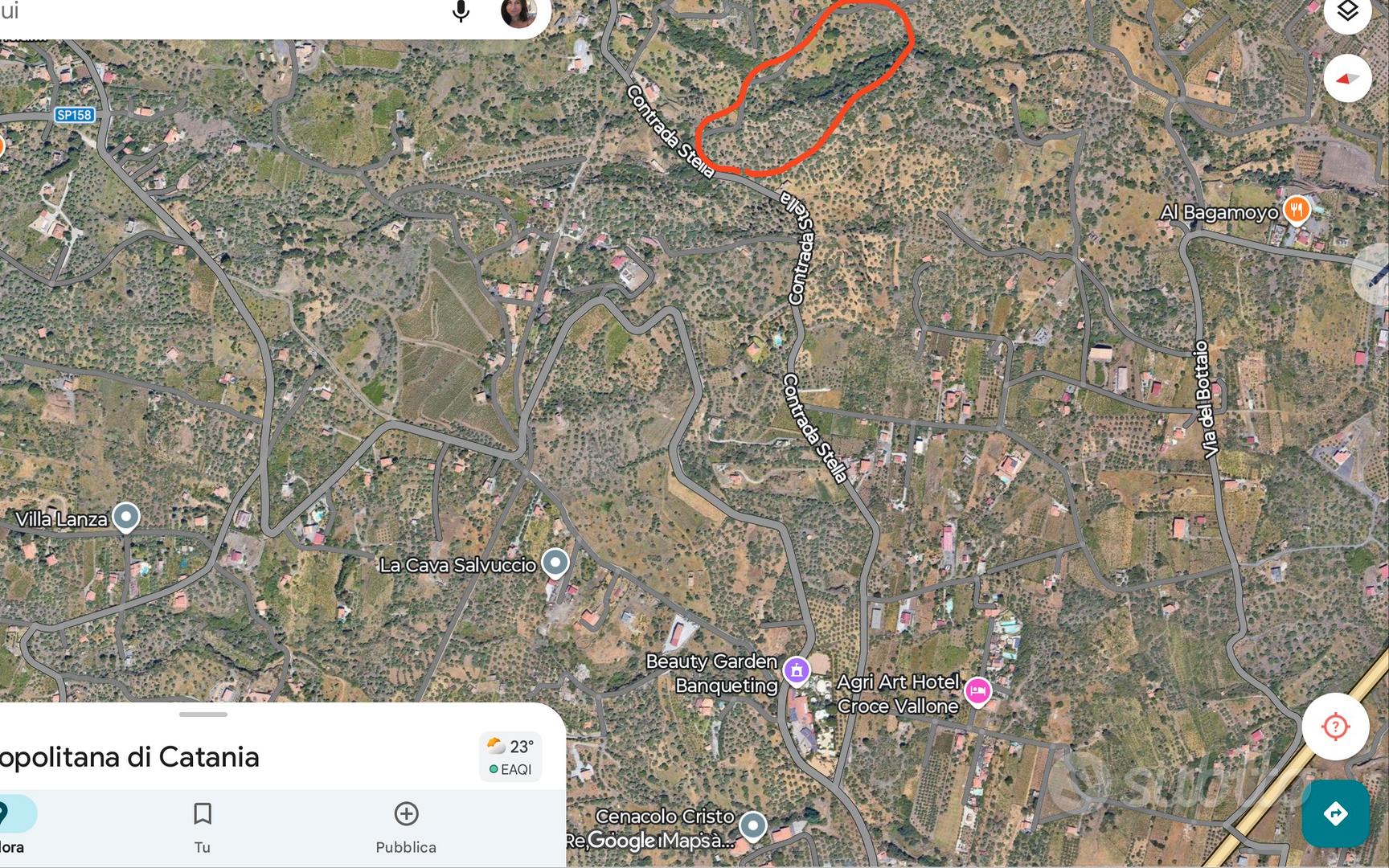 OPEN HOUSE: uliveto 23000 mq Nocellara dell'Etna - Vista 4