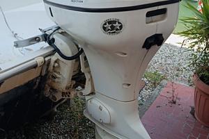 evinrude 135 fight 