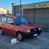 Fiat Panda 900 i.e. cat Young