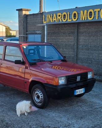 Fiat Panda 900 i.e. cat Young