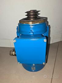 Motore elettrico