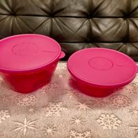 Tupperware ciotole con coperchio da 5,5 la e 3,5 l