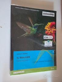 IL WALKER corso di fisica 1