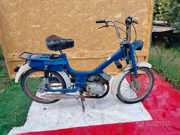 Califfo rizzato cr 50