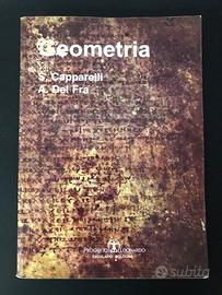 Libro di Geometria 1