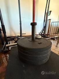 Sport CROSSFIT - PALESTRA OPPURE CALISTHENICS