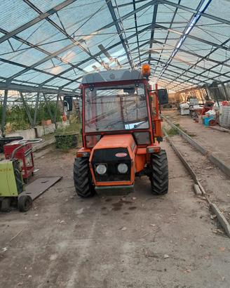 Goldoni transcar 60