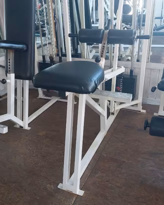 calf Machine Technogym 100€..Sacch fitbox 30