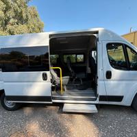 Fiat Ducato Maxi 9 posti - trasporto disabili