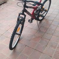 Mountain bike Frejus FM 626 cerchio 26