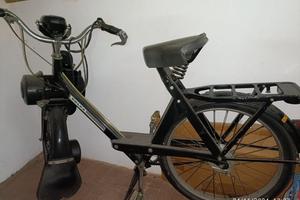 VELOSOLEX 3800