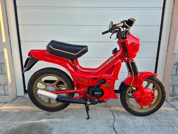 Malaguti Fifty Top 86